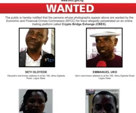 Wanted CBEX promoter surrenders to EFCC
