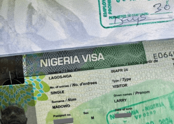 Nigeria to launch e-visa, digital cards