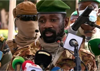 Mali junta scraps political parties