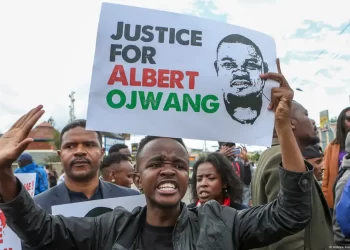 Kenya deputy police chief resigns after blogger’s death