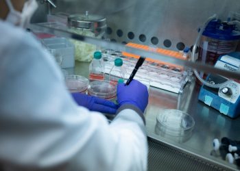 Nigeria records highest cases of sickle cell globally