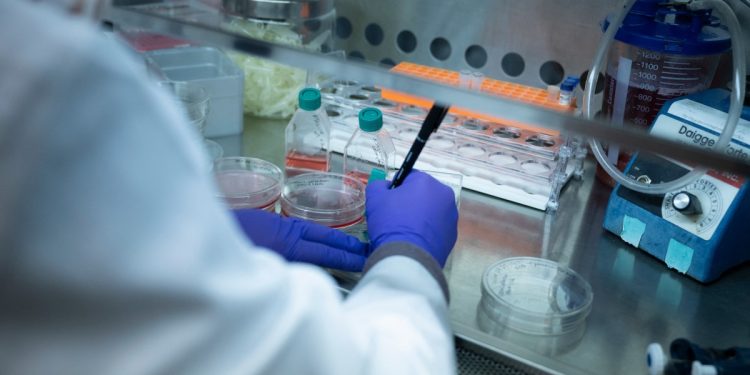 Nigeria records highest cases of sickle cell globally