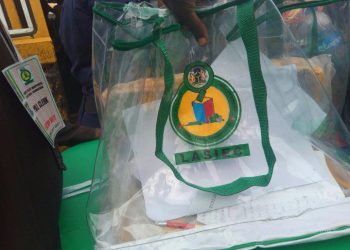 Single-day polls desirable – Punch