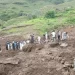 Hundreds die in Sudan landslide