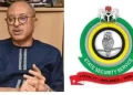 Court declares Pat Utomi’s shadow govt illegal