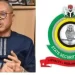 Court declares Pat Utomi’s shadow govt illegal