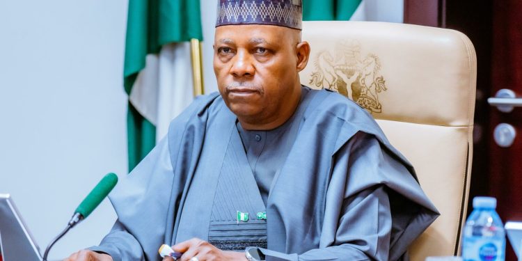 Africa is ripe for UN Security Council seats – Punch