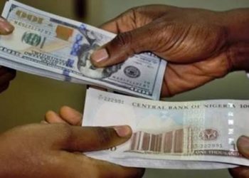 The $600m monthly diaspora inflow is work in progress – Guardian