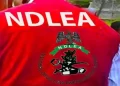 NDLEA intercepts Europe-bound cocaine consignments