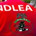 NDLEA intercepts Europe-bound cocaine consignments