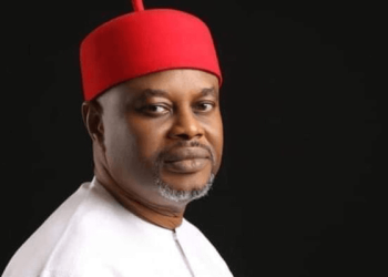 Nnaji: Nigeria’s dodgy vetting processes – Punch