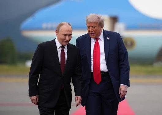 Trump, Putin to meet in Budapest over Ukraine war