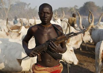 Priests raise alarm over renewed killings by herdsmen in Taraba