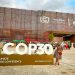 COP30: Sahara Group advocates scaled nature-based investments to strengthen Africa’s climate resilience
