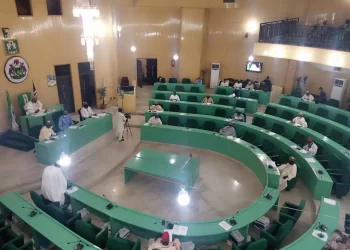 Kano Assembly moves to enforce use of mother tongue in schools