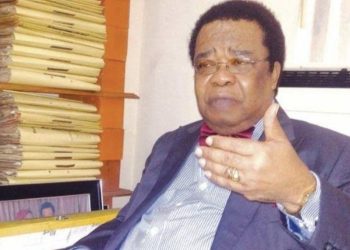 Insecurity: Tinubu must show determination to flush out Boko Haram sympathisers from military —Prof. Akinyemi