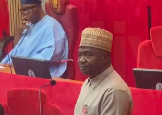Senate confirms ex-CDS Musa as Defence Minister after five-hour screening