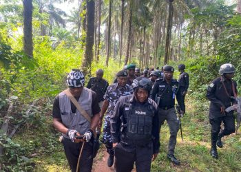 Police hunt gunmen behind commuters’ abduction in Imo