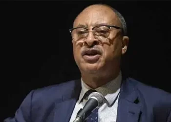 Politicians fuelling division in Nigeria, says  Utomi