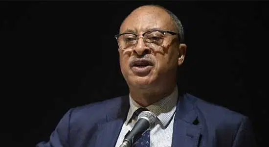 Politicians fuelling division in Nigeria, says  Utomi