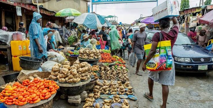 Economy in 2026: From risk to recovery – Punch