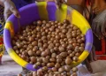 Tinubu extends raw shea nut export ban to 2027