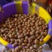 Tinubu extends raw shea nut export ban to 2027