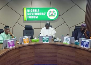 Governors submit state police proposal for NASS review