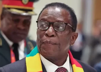 Zanu PF moves to strip voters’ right to elect Zimbabwean President