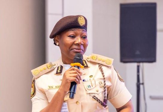 Immigration boss suspends Lagos-Seme border commanders over extortion allegations
