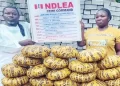 NDLEA nabs Lagos pastor, wife with illicit drugs
