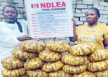 NDLEA nabs Lagos pastor, wife with illicit drugs