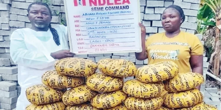 NDLEA nabs Lagos pastor, wife with illicit drugs