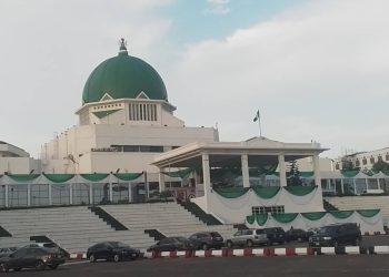 NASS: Withdraw MDPA amendment bill – Punch