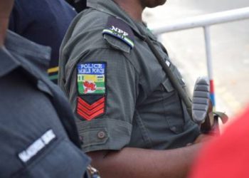 Judgement on filming police deepens freedoms – Punch