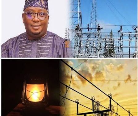 Nigerians slam Power Minister as two weeks’ promise on electricity fails