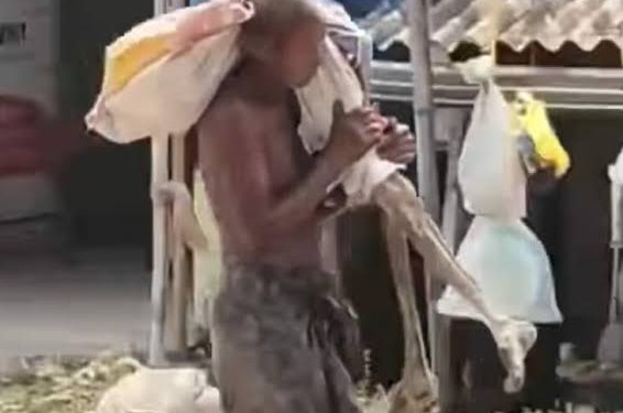 Indian man digs up sister’s skeleton to claim savings