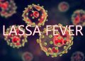 Lassa fever deaths rise in Nigeria
