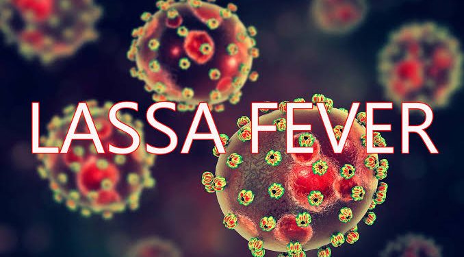 Lassa fever deaths rise in Nigeria