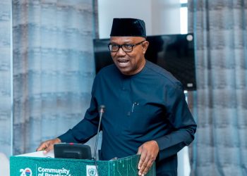 NDC clears Peter Obi for presidential primary