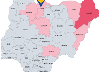 Bandits kill 11 in Katsina reprisal attack