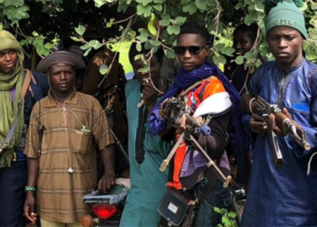 US accuses Nigeria Police, Army of colluding with Fulani militias to launch attacks