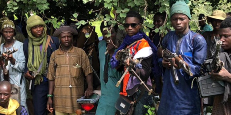 US accuses Nigeria Police, Army of colluding with Fulani militias to launch attacks