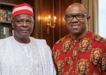 Obi, Kwankwaso’s exit setback but relief, says ADC