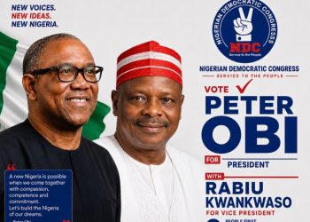 Ambassdor-Designates: Tinubu redeploys Fani-Kayode from Germany to South Africa