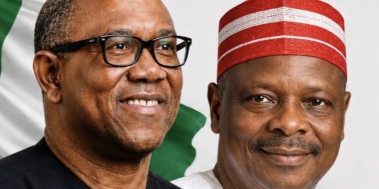 Ambassdor-Designates: Tinubu redeploys Fani-Kayode from Germany to South Africa