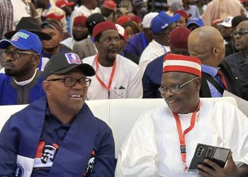 NDC zones presidency to South for single term