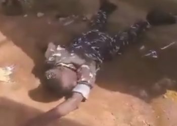 Police begin disciplinary action against officer in viral misconduct video