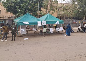 In 2027 elections, voter apathy looms large – Punch