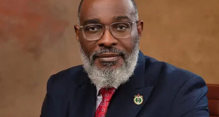 Tinubu creates Homeland Security adviser role, appoints ex-army general